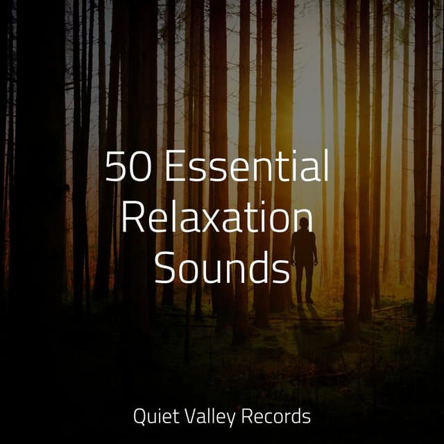 50 Essential Relaxation Sounds
