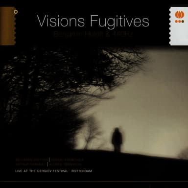 Visions Fugitives
