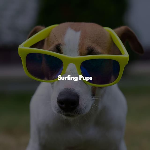 Surfing Pups