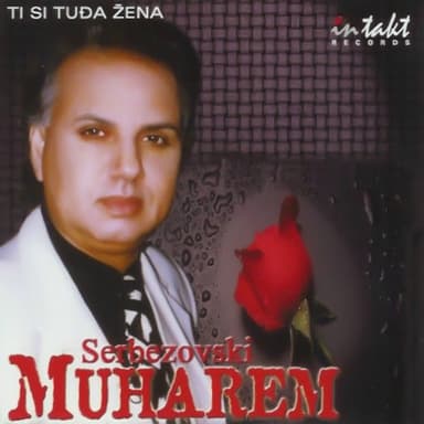 Ti Si Tuda Zena