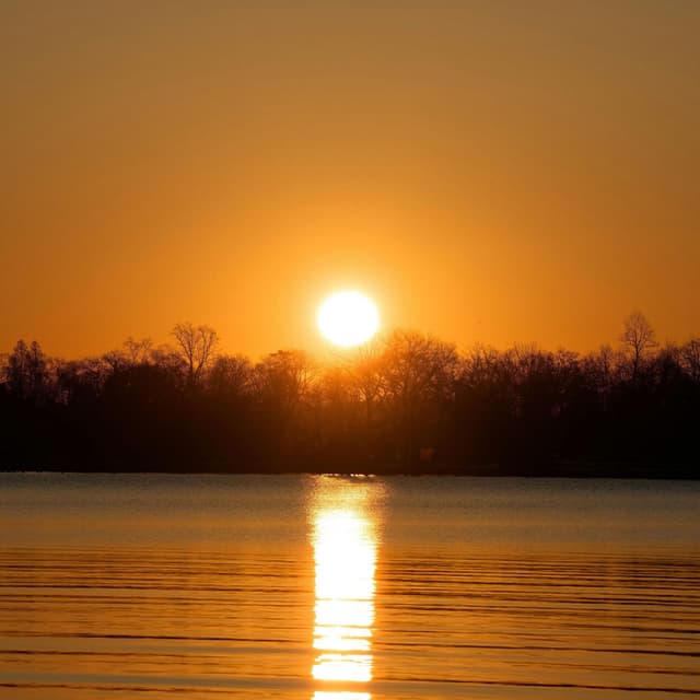 Like The Sunshine