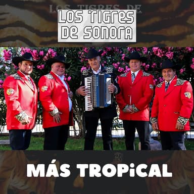Más Tropical