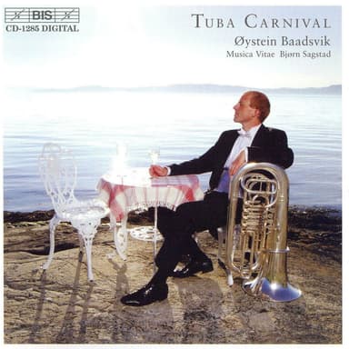 The Four Seasons, Violin Concerto in F Minor, Op. 8 No. 4, RV 297 "Winter" (Arr. Ø. Baadsvik for Tuba & Orchestra): II. Largo