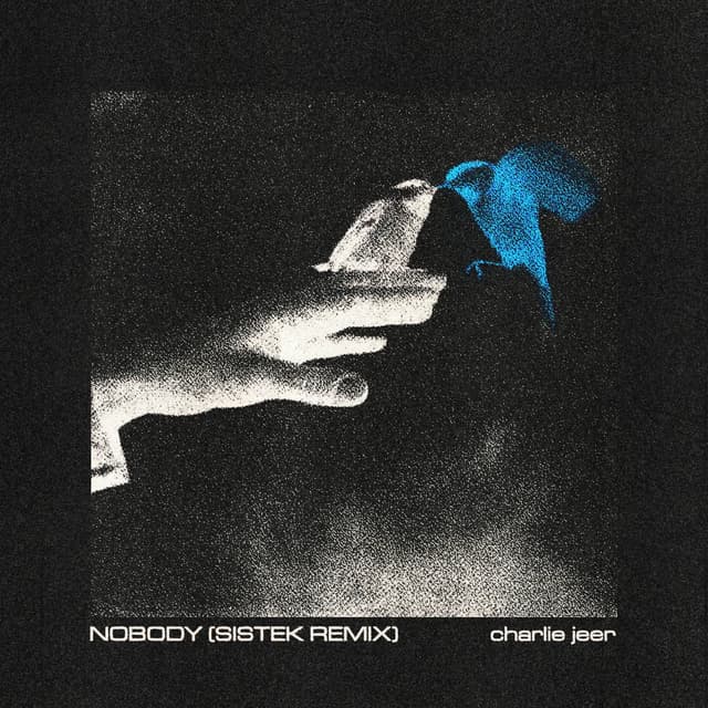 Nobody (Sistek Remix)