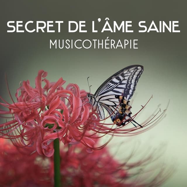 Secret de l'âme saine – Musicothérapie, Se détendre et concentrer, Calmer son stress, Guérison spirituelle, Musique apaisante, Son