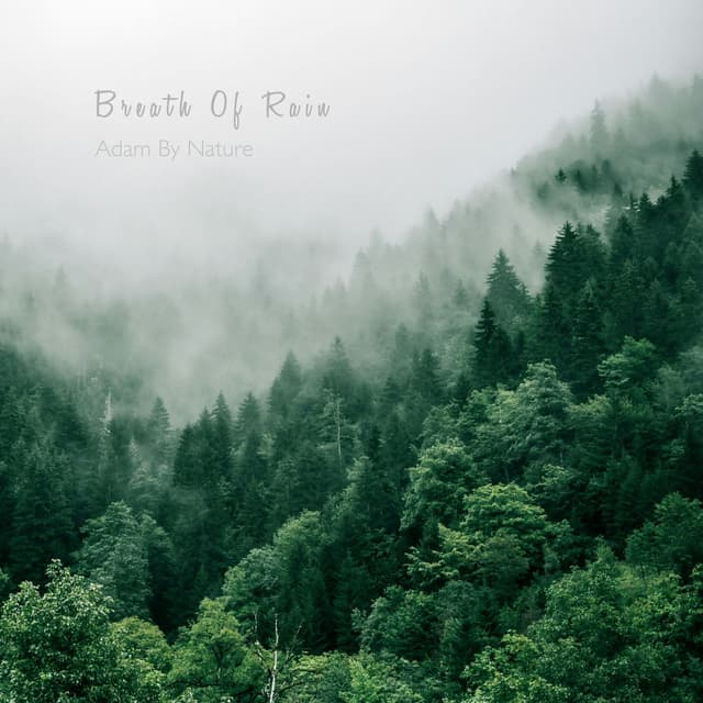 Breath Of Rain