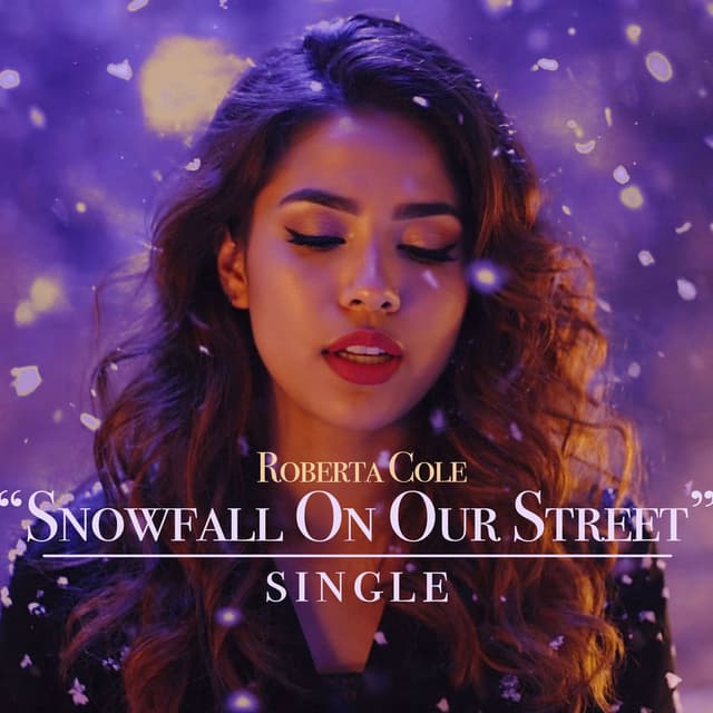 Snowfall On Our Street