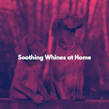 Soothing Whines at Home