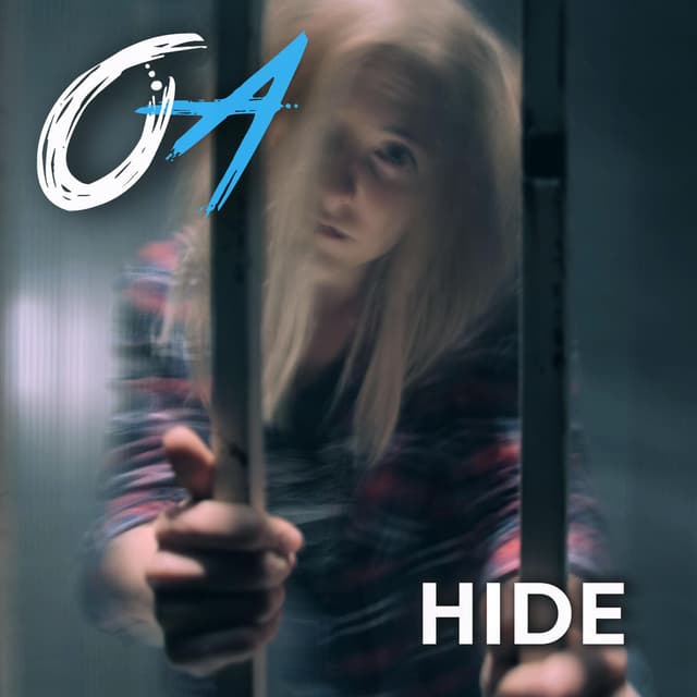 Hide