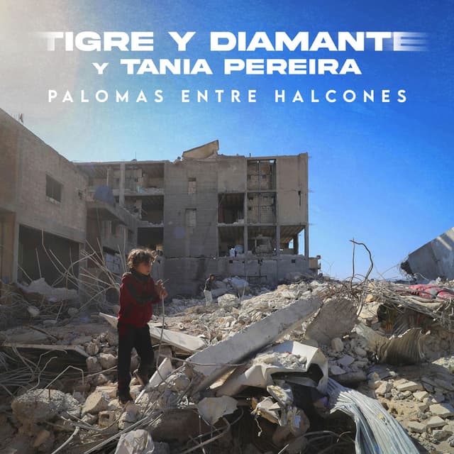 Palomas entre halcones