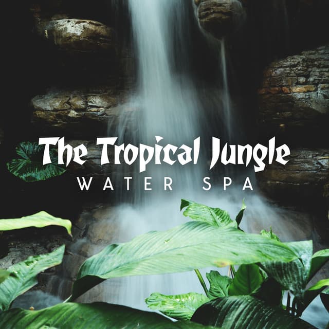 The Tropical Jungle Water Spa