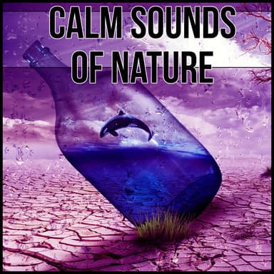 Calm Sounds of Nature – Quiet Sounds for Relax, Easy Piano Music for Relaxation Meditation Spiritual Healing, Serenity Sleep Music