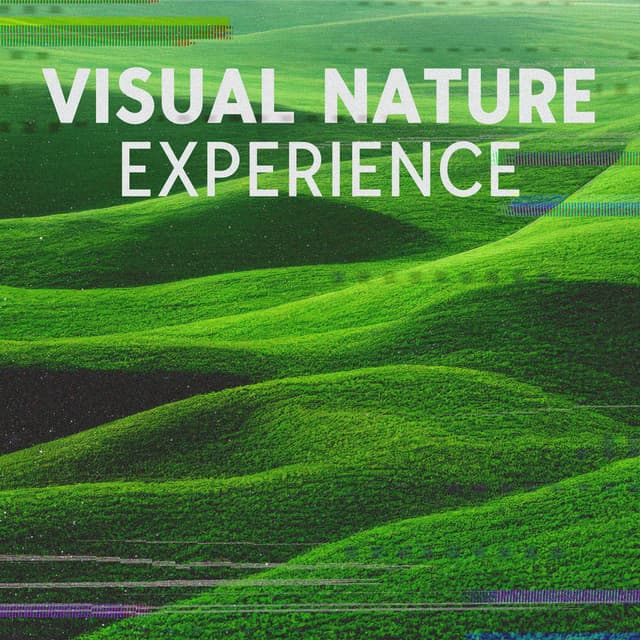 Visual Nature Experience: Diverse Nature Music for Yoga and Relaxation