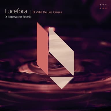 El Valle De Los Cisnes (D-Formation Remix, Radio Edit)