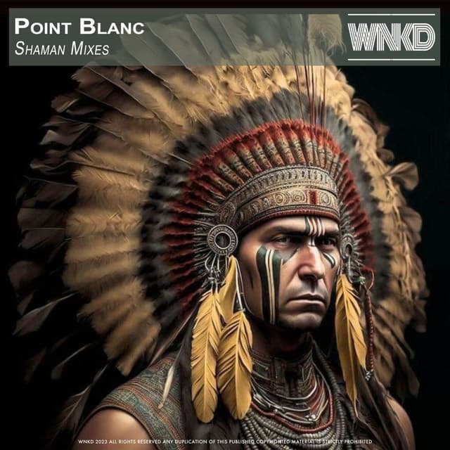 Shaman Mixes
