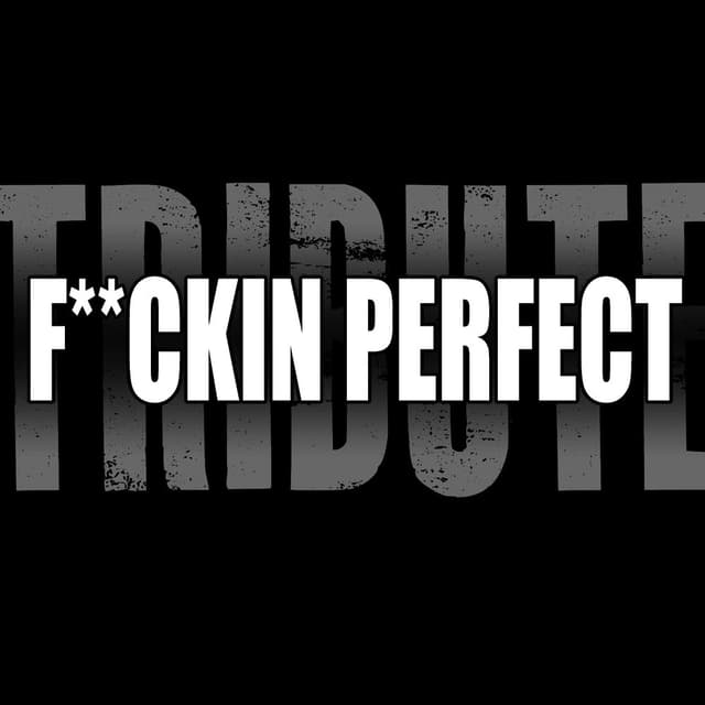 F**kin' Perfect (Pink Tribute)