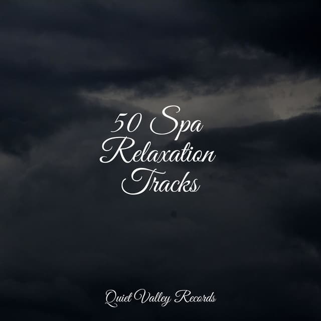 50 Spa Relaxation Tracks