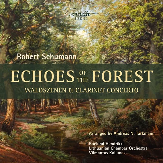 Schumann: Violin Concerto in D Minor, WoO 23 (Arr. for Clarinet and Orchestra by Andreas N. Tarkmann): III. Lively, but Not Fast