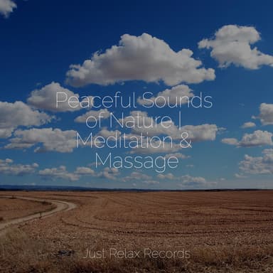 Peaceful Sounds of Nature | Meditation & Massage