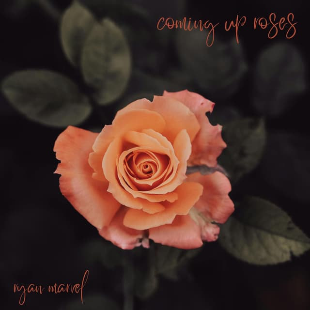 Coming Up Roses