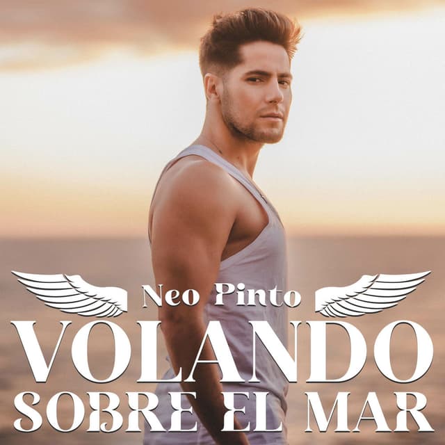 Volando sobre el mar
