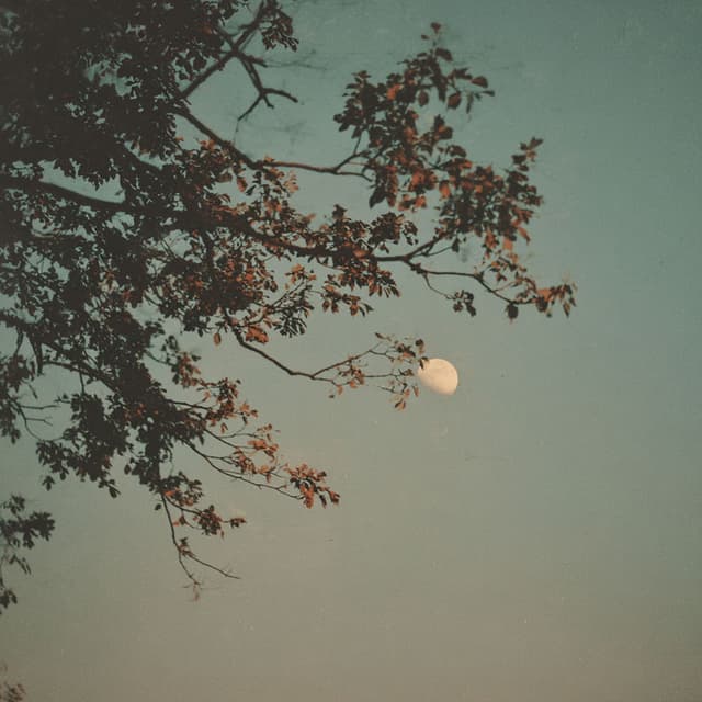 lunar ball