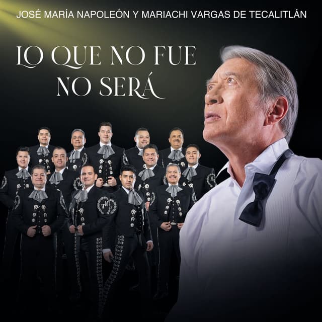 Lo Que No Fue No Será