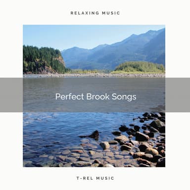 ! ! ! ! ! Perfect Brook Songs