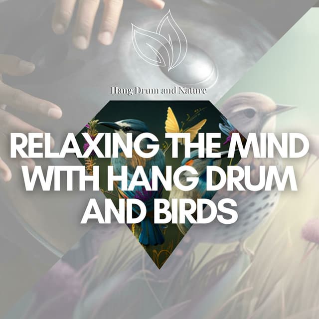 Relaxing the Mind with Hang Drum and Birds