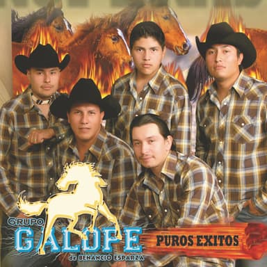 Puros Exitos