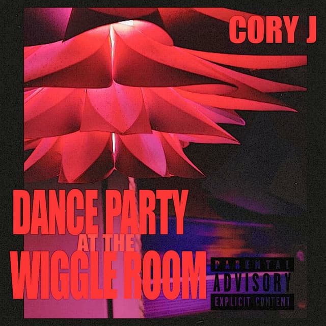 Dance Party At The Wiggle Room