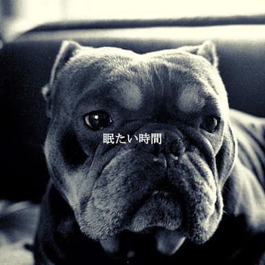 眠たい時間