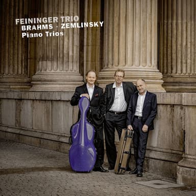Brahms: Piano Trio No. 3 in C Minor, Op. 101: I. Allegro energico