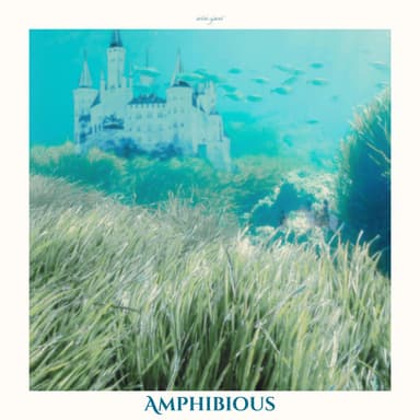 Amphibious (Call Asleep Instrumental)