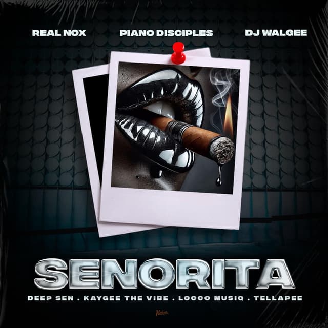 Senorita (feat. Tellapee, DJ Walgee, Piano Disciples & Locco Musiq)