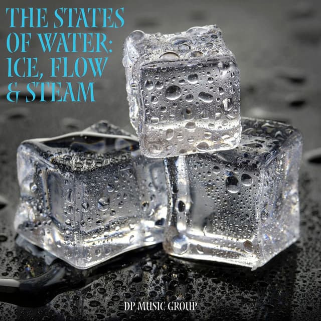 The States of Water: Ice, Flow and Steam