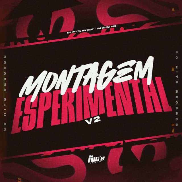 Montagem Esperimental 2