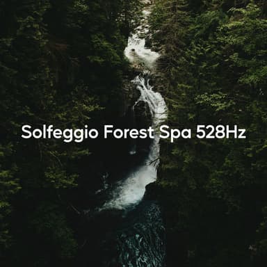 Solfeggio Forest Spa 528Hz