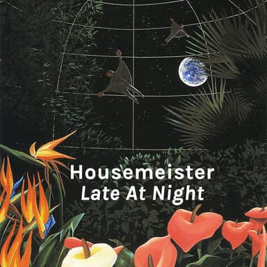 Late at Night (Matthew Herbert's Should Have Played That Dub) (Matthew Herbert's Should Have Played That Dub)