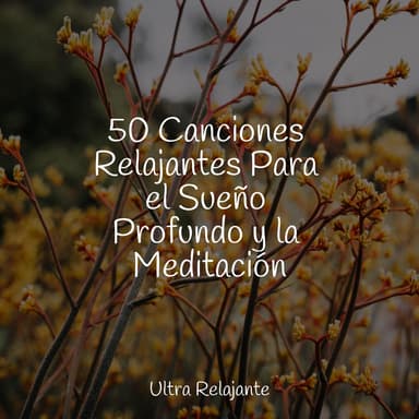 Un Lugar Tranquilo