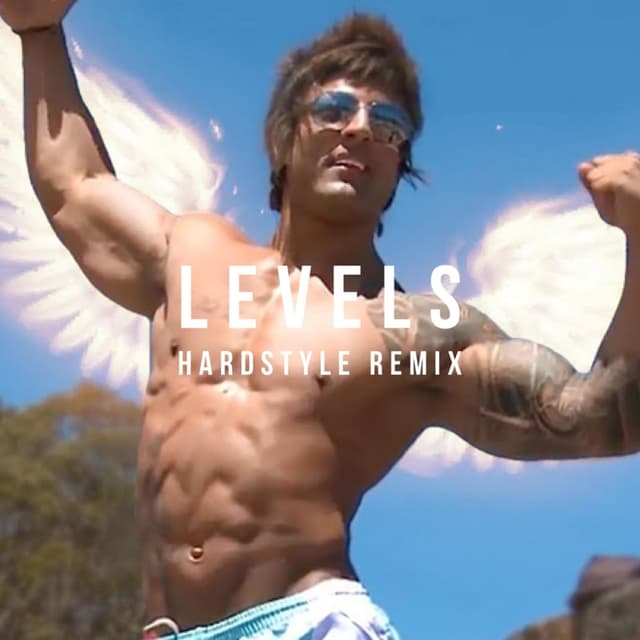 Levels Hardstyle