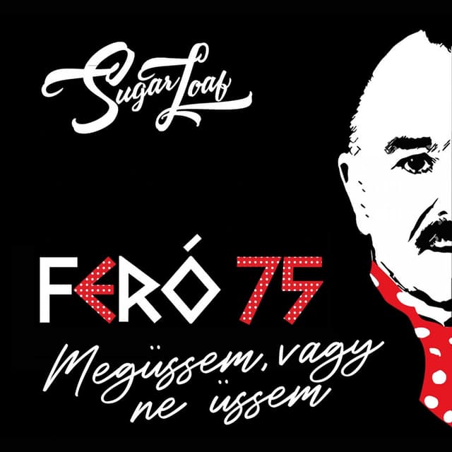Megüssem vagy ne üssem (Feró 75)