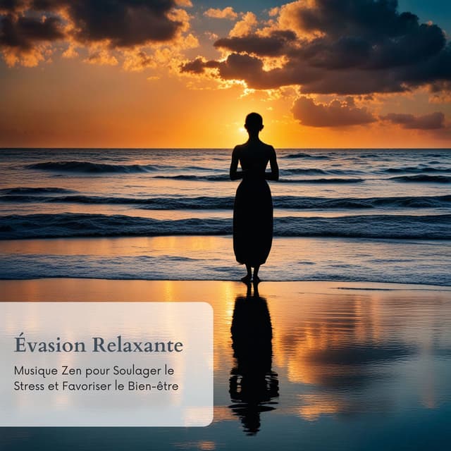 Évasion Relaxante: Musique Zen pour Soulager le Stress et Favoriser le Bien-être