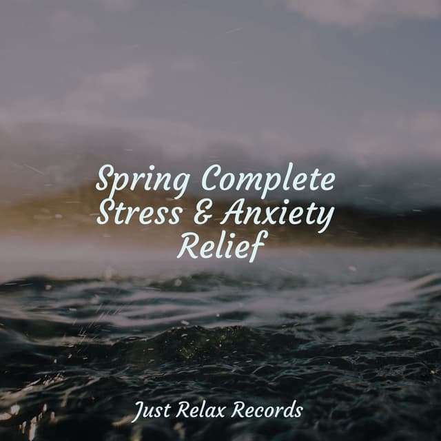 Spring Complete Stress & Anxiety Relief