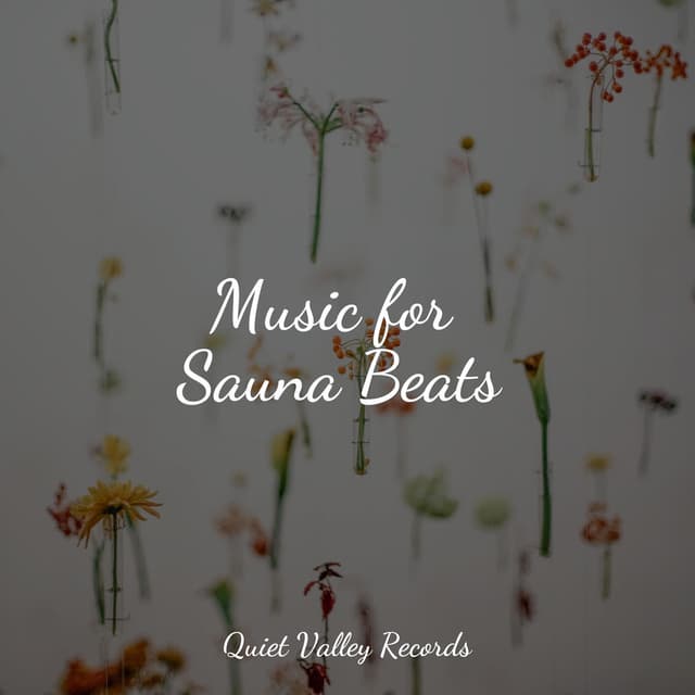 Music for Sauna Beats