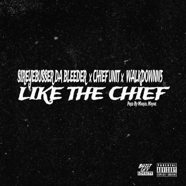 Like The Chief