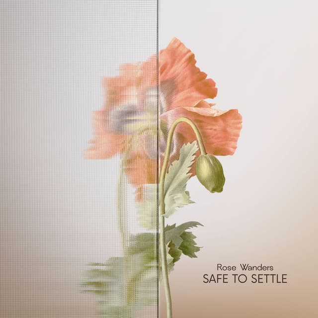Safe to Settle