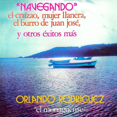 Navegando