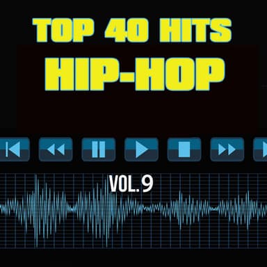 Top 40 Hits Hip Hop, Vol. 9