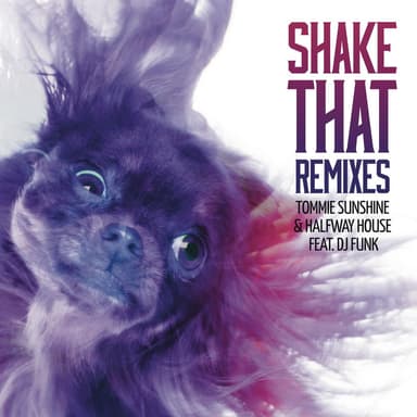 Shake That (feat. DJ Funk) (Remixes)